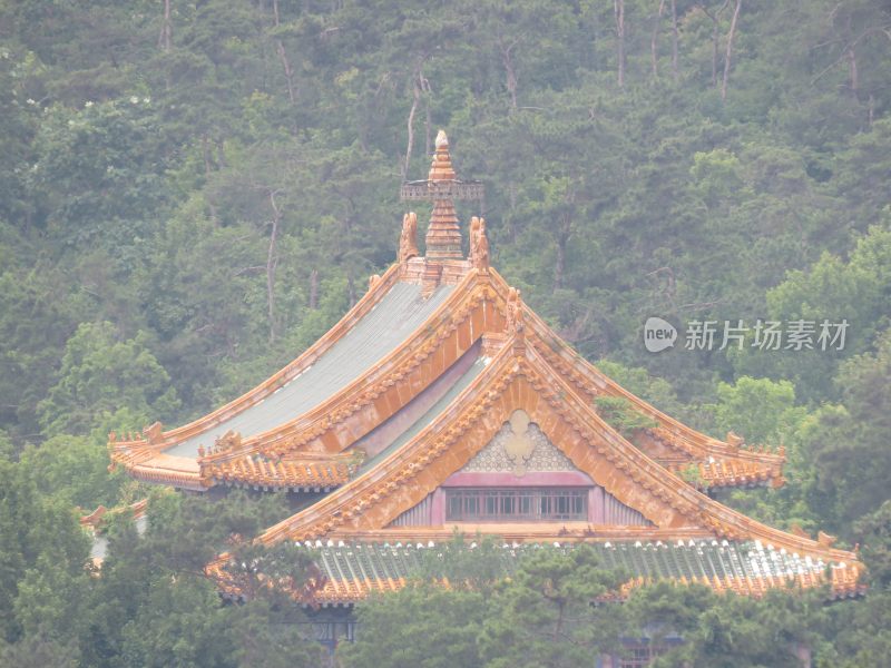 南京紫金山灵谷寺风景区