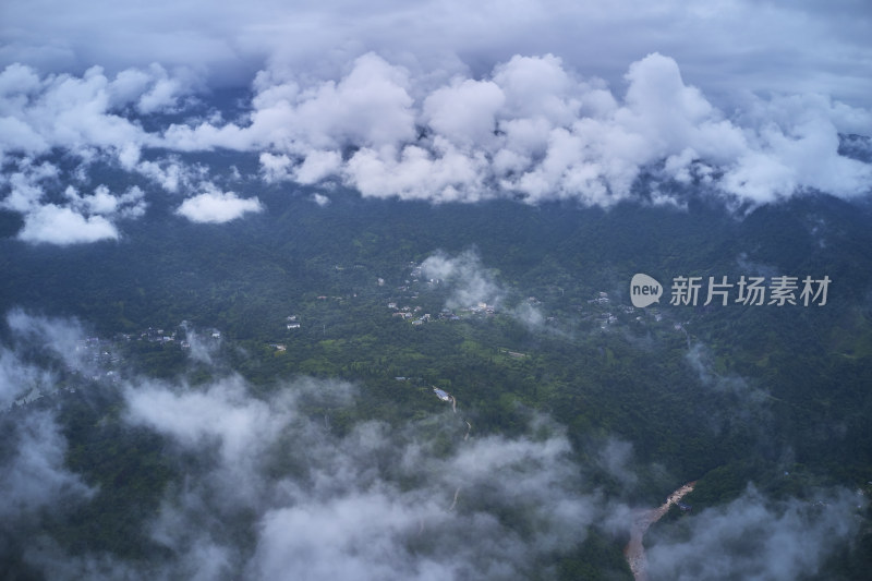 峨眉山的原始森林