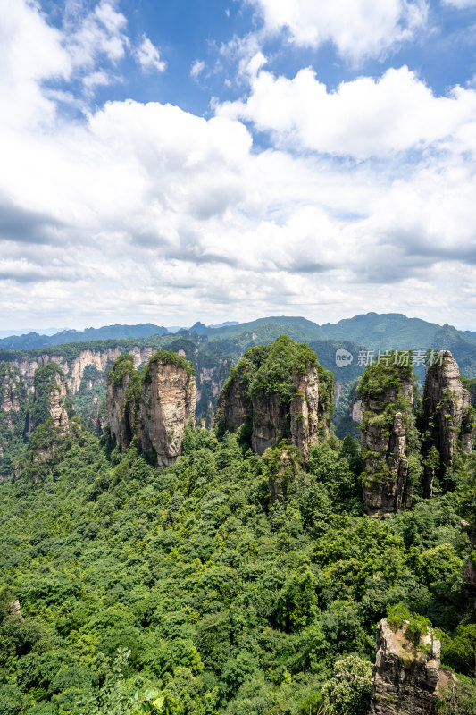 中国湖南张家界景区奇特山峰与茂密森林