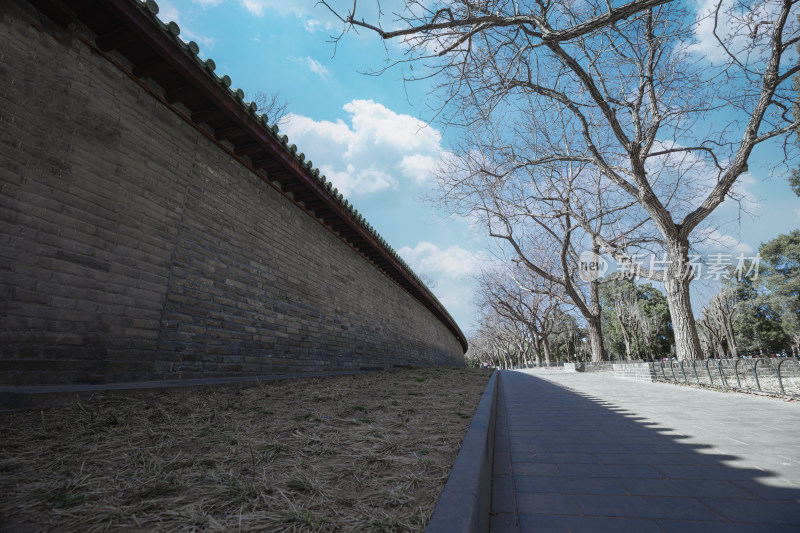 北京天坛公园自然景色