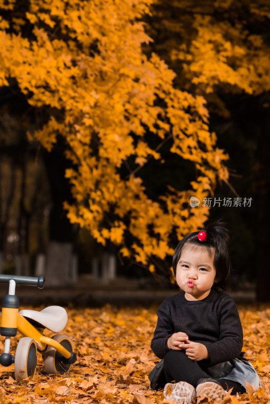 深秋坐在公园落满黄叶的草地上玩耍的女孩