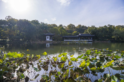 杭州西湖风景区曲院风荷风景