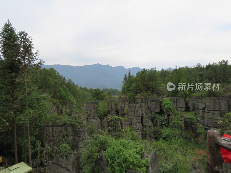 湖北恩施梭布垭石林旅游风光