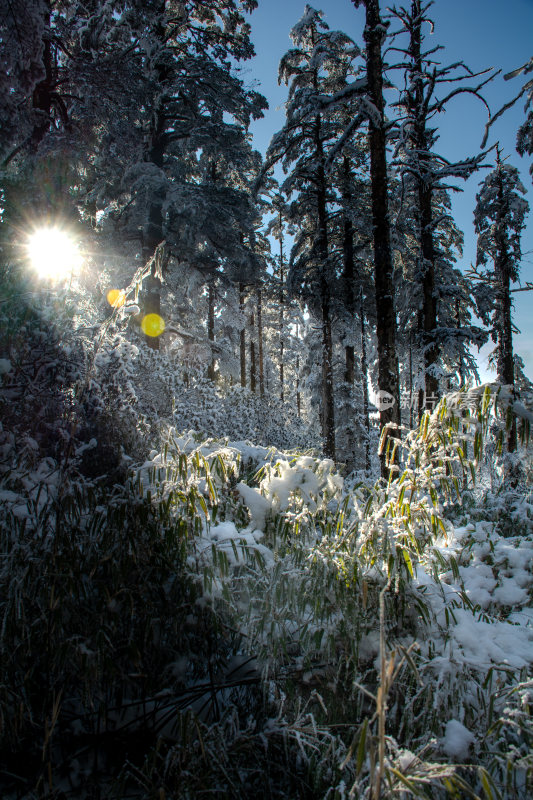 瓦屋山雪景