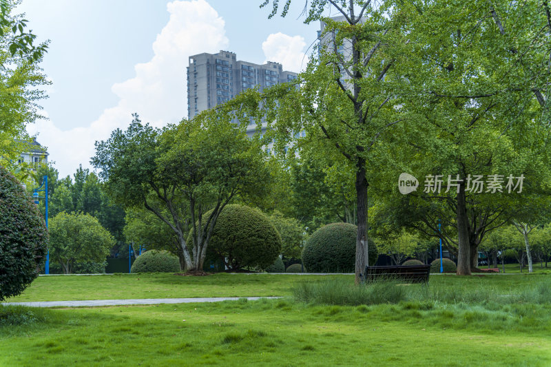 武汉关山荷兰风情园风景