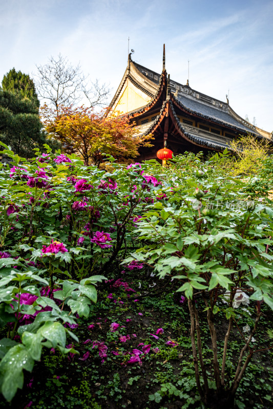 上海徐汇龙华寺自然建筑景观龙华寺塔