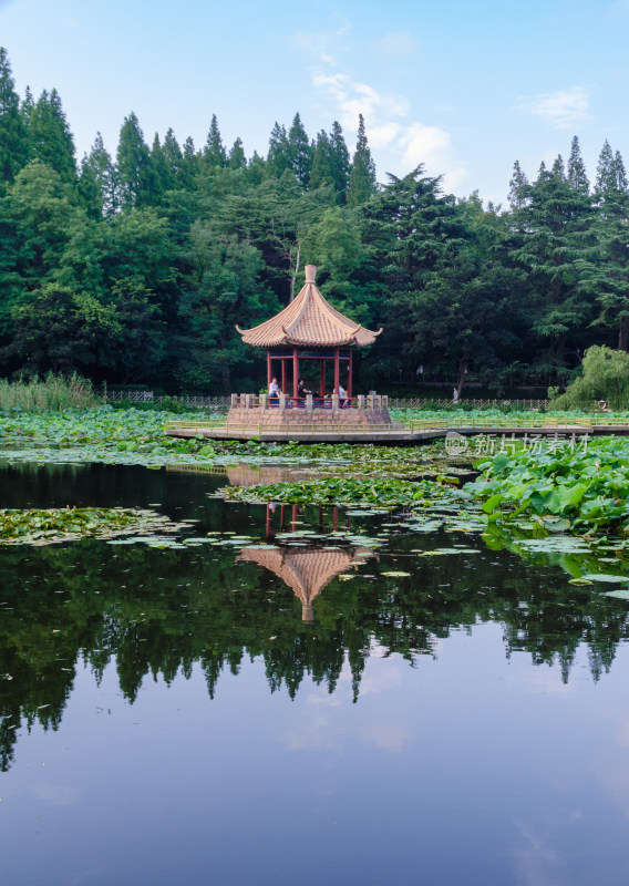 青岛中山公园小西湖，湖中倒影风光