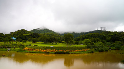 深圳梧桐山恩上湿地公园雨后风景