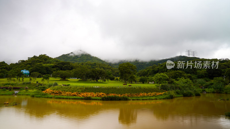 深圳梧桐山恩上湿地公园雨后风景