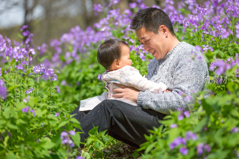 爸爸抱着宝宝坐在二月兰花丛里