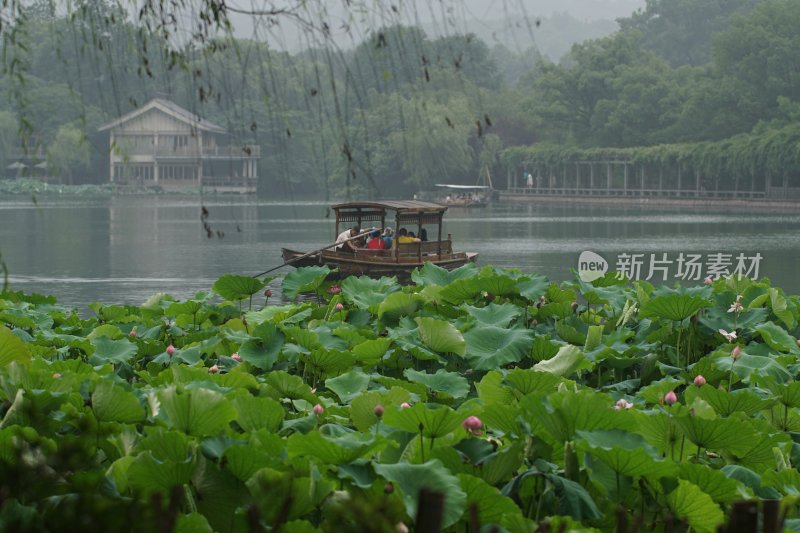 杭州风光 西湖风光