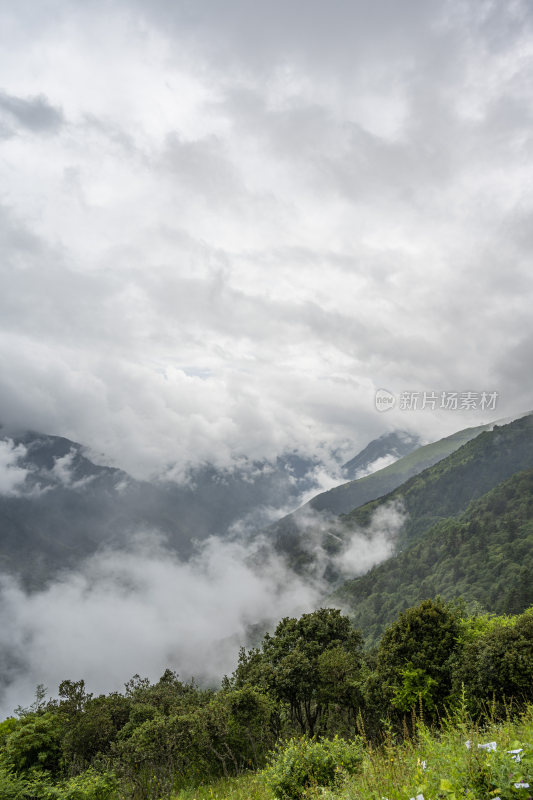 四川四姑娘山双桥沟自然风景