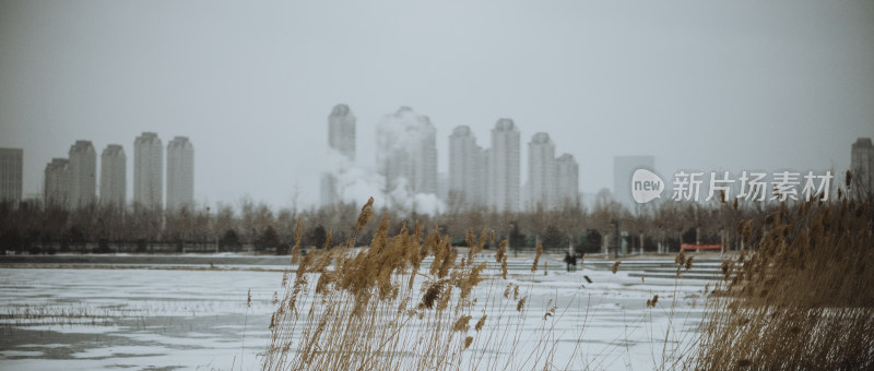 天津市水西公园 冬天雪景