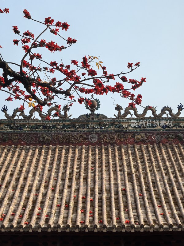 古建筑顶与盛开的木棉花
