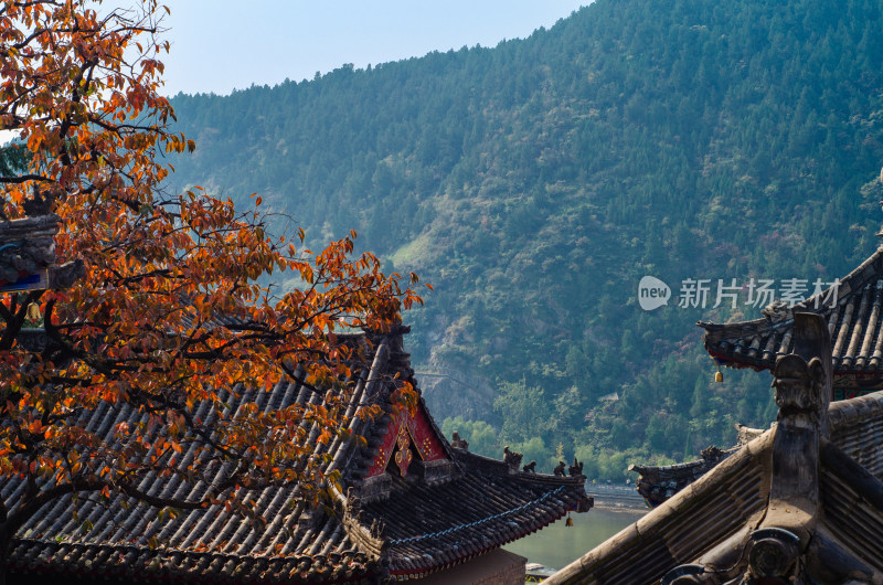 河南洛阳龙门石窟香山寺秋景