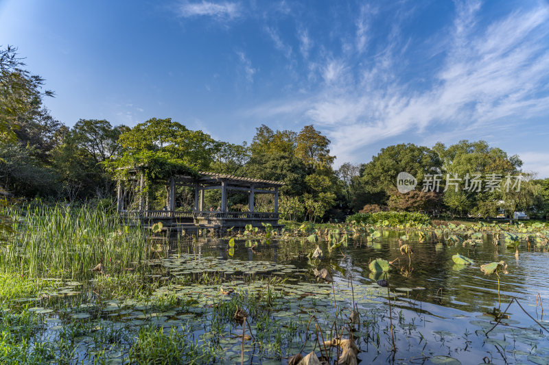 杭州西子湖畔杭州花圃风景