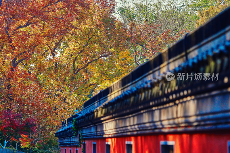 南京栖霞山栖霞寺