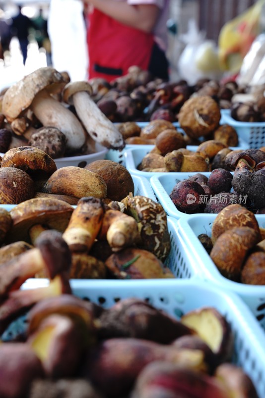 市场摊位上摆满各类新鲜野生菌