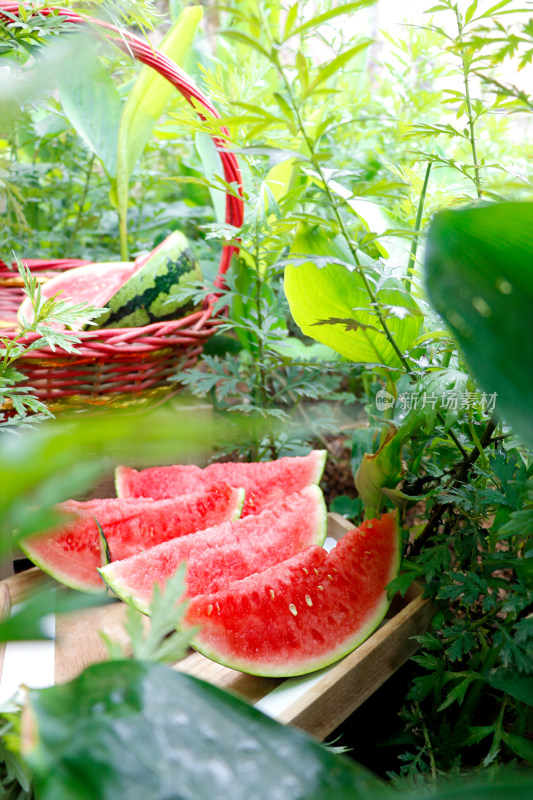 户外的夏日新鲜水果西瓜