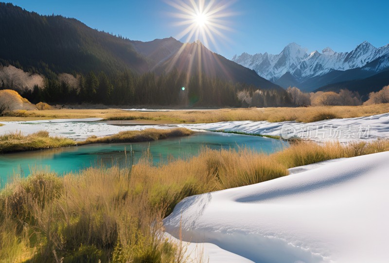 雪山高原草原森林风景