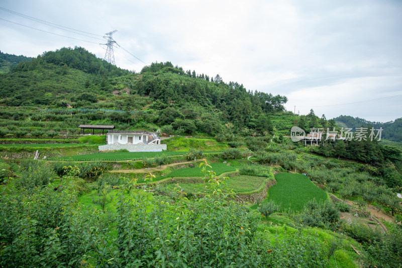 梨园风景云和苏坑