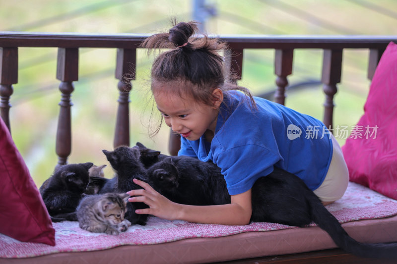 小女孩亲昵抚摸一群小猫