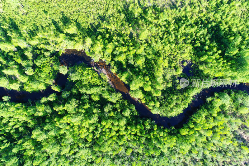 鸟瞰漠河密林小河河湾风景
