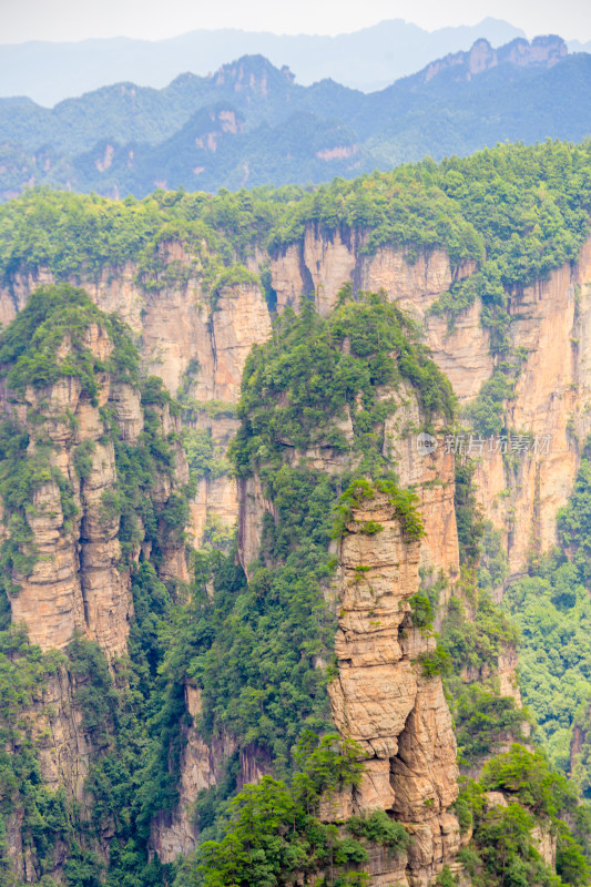 中国湖南张家界景区奇特山峰与茂密森林