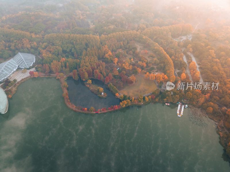 南京中山植物园前湖秋季风光