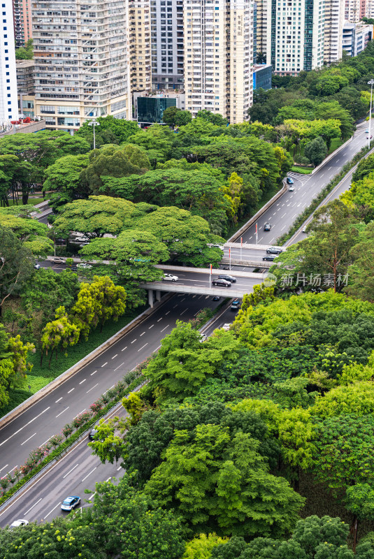 俯拍城市道路绿化