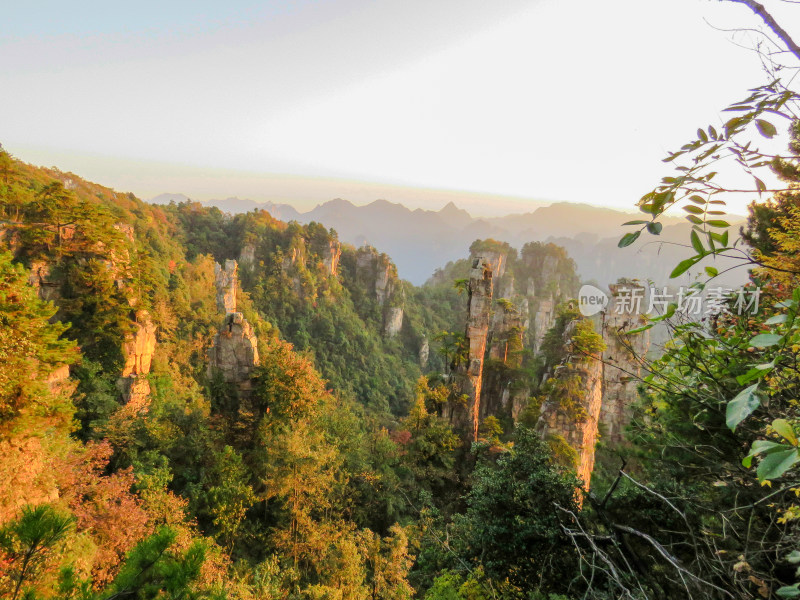 中国湖南张家界国家森林公园旅游风光