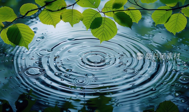 小雨绿叶水面雨滴涟漪水波纹下雨背景