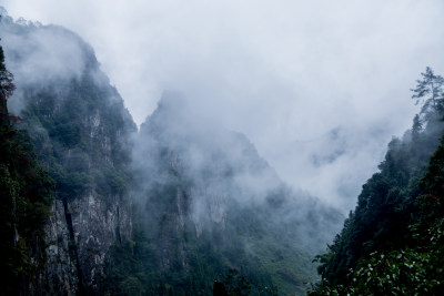 云雾缭绕的高山森林