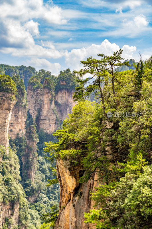 中国湖南张家界景区奇特山峰与茂密森林