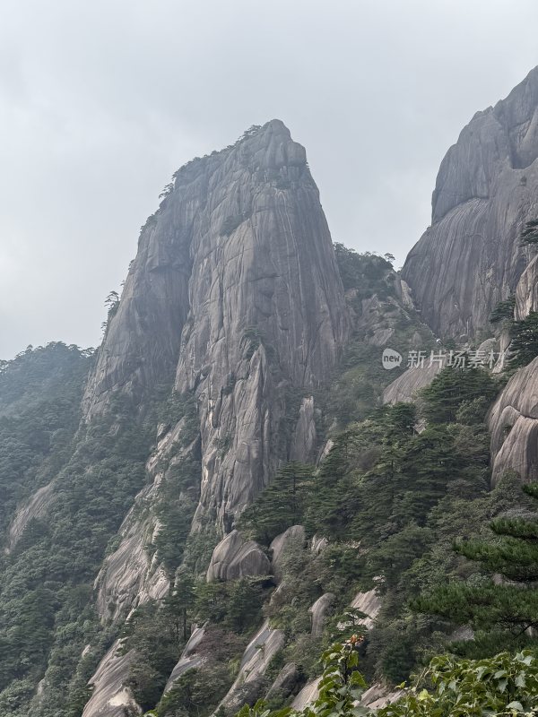 黄山山间松树映衬下的壮丽山脉全景