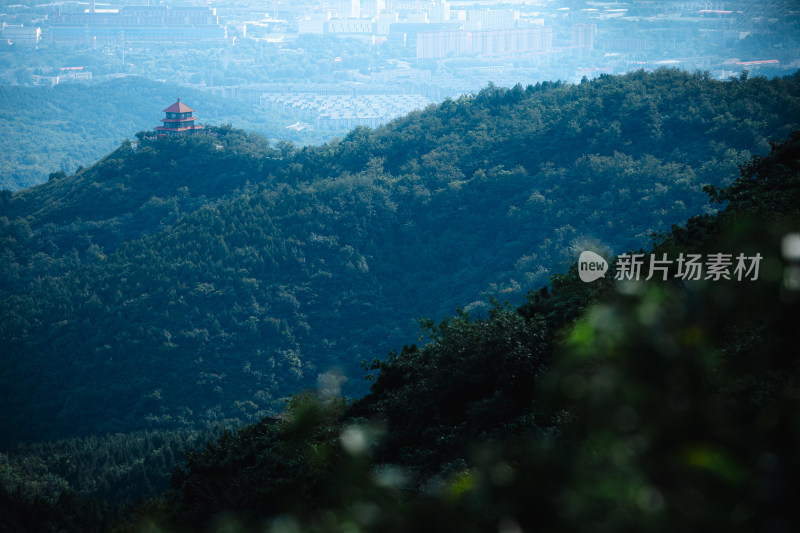 北京香山公园自然风景