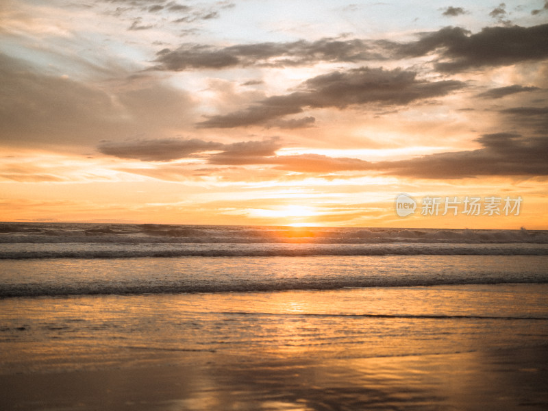 新西兰Muriwai beach 鸟岛塘鹅栖息地海滩