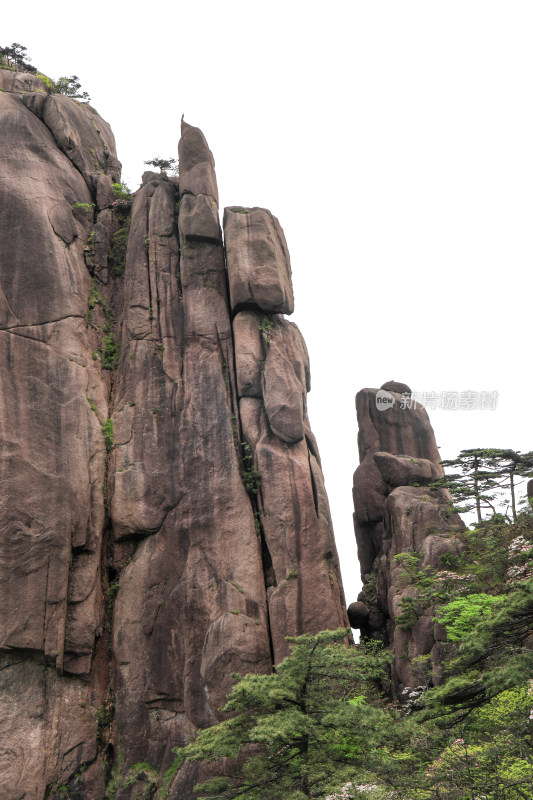 春天黄山自然风光