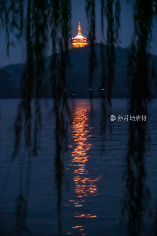 雷峰塔夜晚雪景