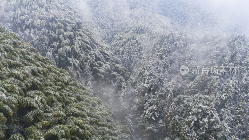 畲乡秘境佛儿岩冬天风景