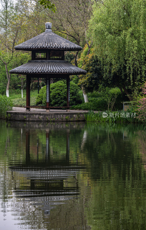 杭州西湖茅家埠黛色参天自然风景景观