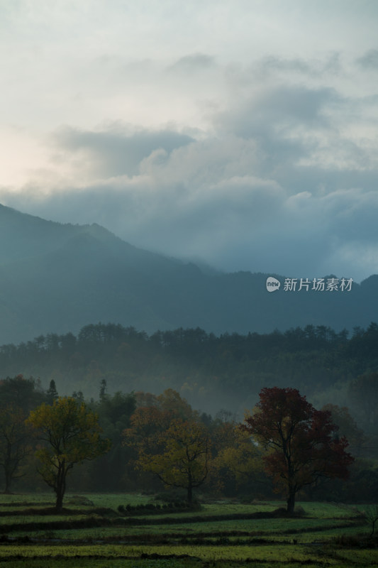 山谷的深秋