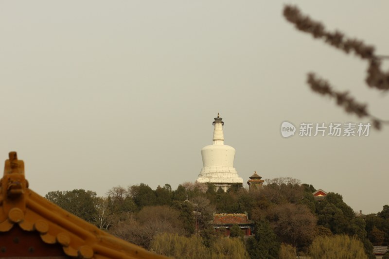 历史古迹传统园林建筑