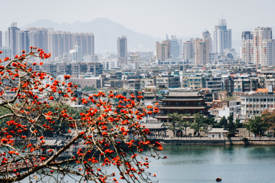 潮州市区城景