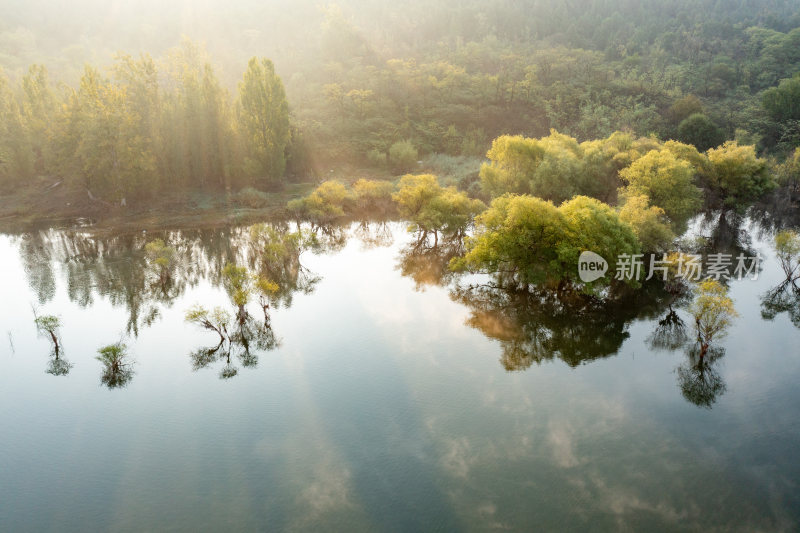 枣庄杨峪森林公园水库植被库区风光