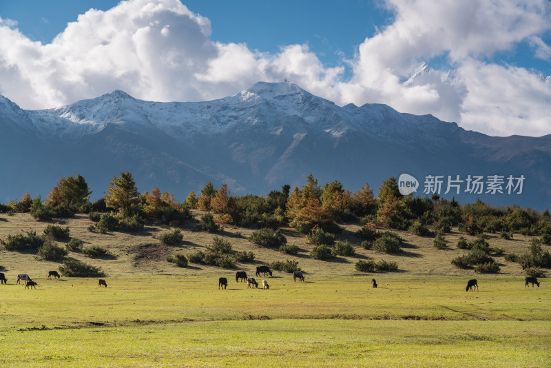 西藏吉隆县乃夏村风景