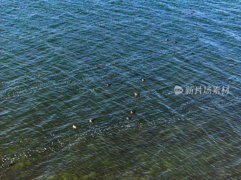 甘肃芒崖苏干湖