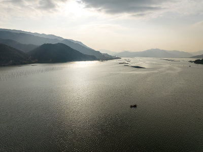 福建宁德霞浦县城红树林涂滩高空航拍