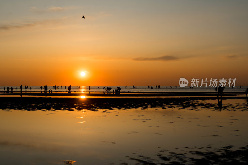 河北秦皇岛北戴河海边日出美景