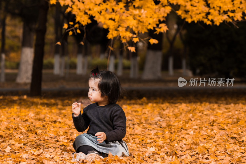 深秋坐在公园落满黄叶的草地上玩耍的女孩